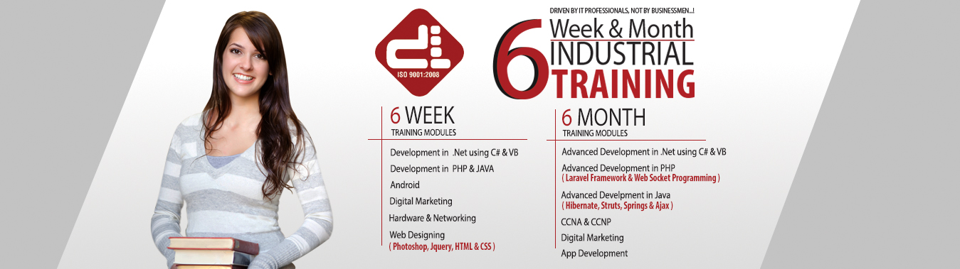 Asp.Net Training in Amritsar,PHP Training,Java Training,Industrial Training